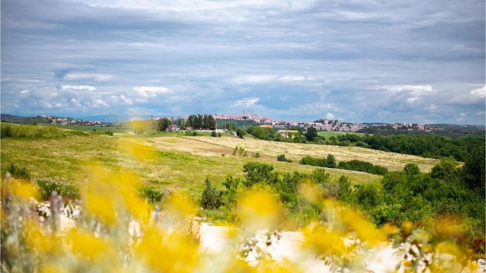 Villa Terra Bianca Brtonigla 0*,  Horvátország